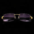 Cartier White Horn Glasses, Gold Detail, Smoke Purple Lens CT0046O-001