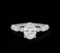3.76ct TCW Oval Cut VVS Moissanite Halo Women’s Ring